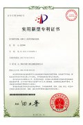 双转子三相异步振动电机